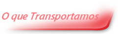 O que transportamos Enipla muito alem de entregas
